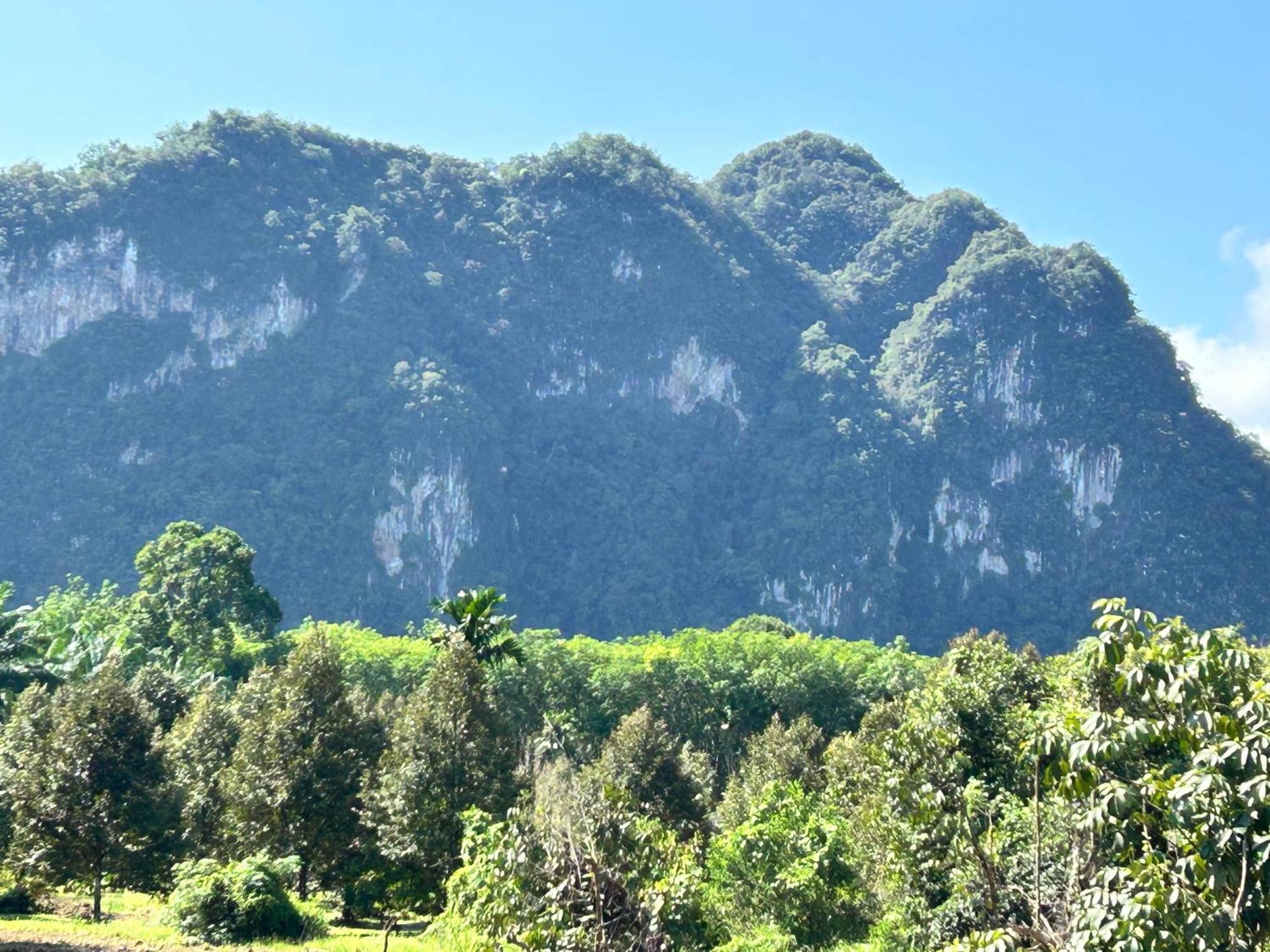 Khaosok Secret Hostel Khao Sok National Park エクステリア 写真